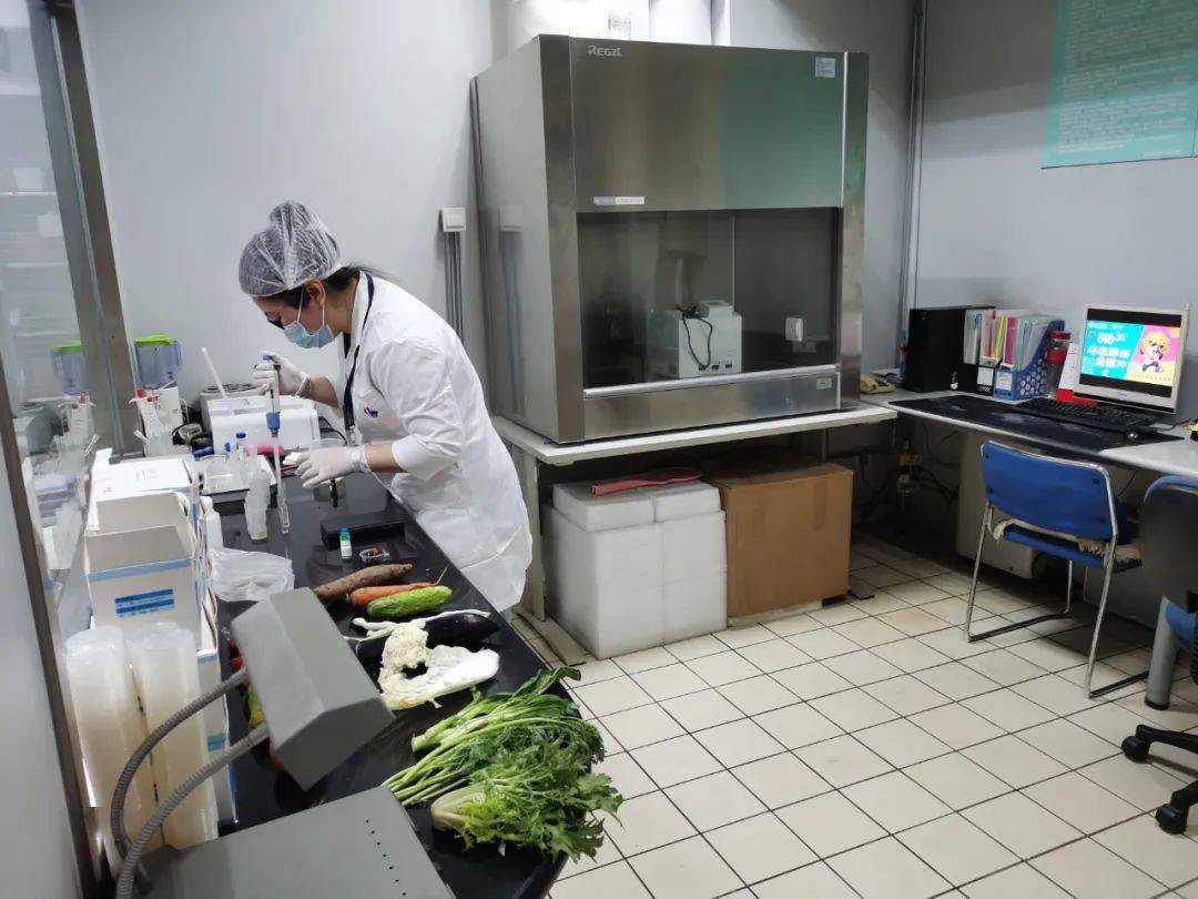 龙山食品检测实验室装修方案